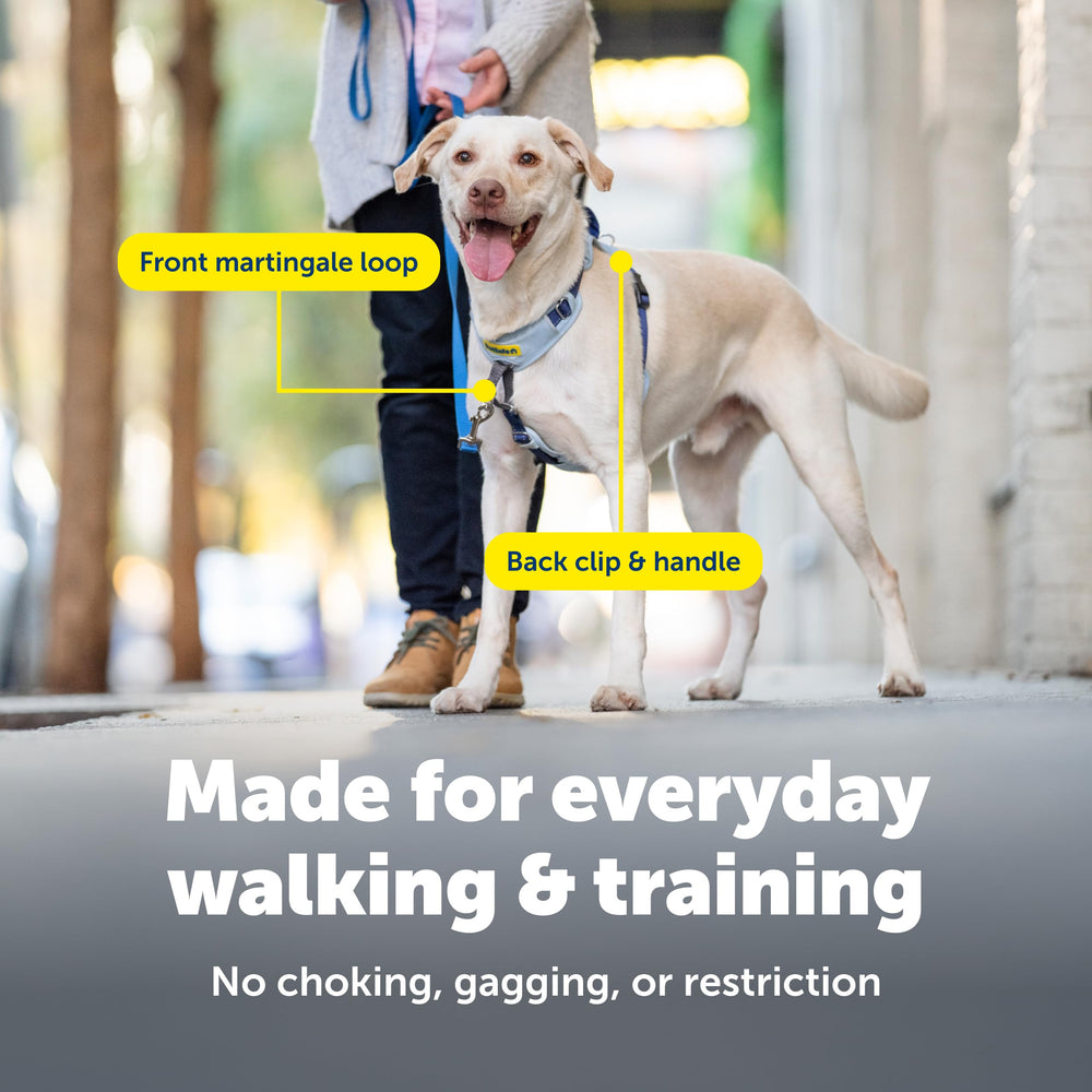 PetSafe Easy Walk harness back clip enables secure control during runs.