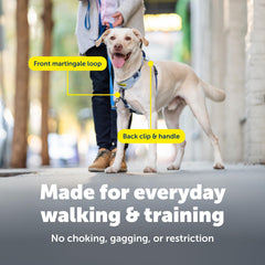 PetSafe Easy Walk harness back clip enables secure control during runs.
