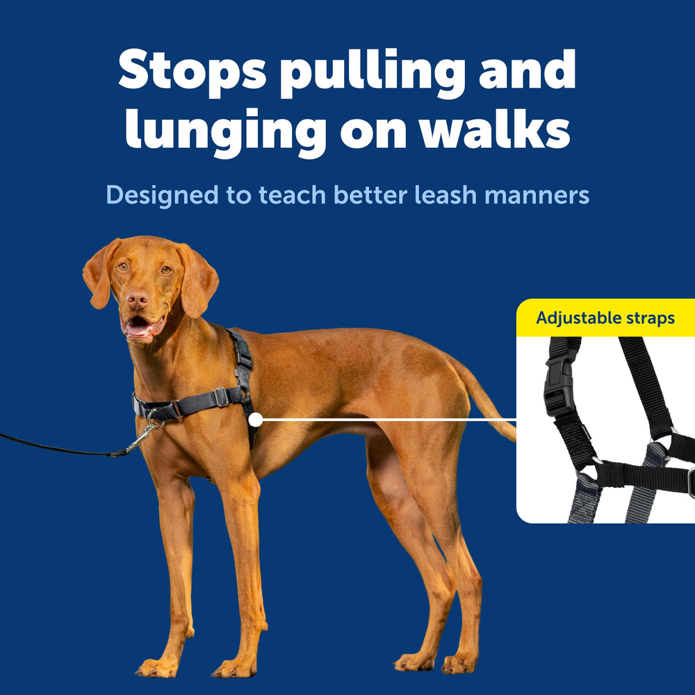 PetSafe Easy Walk harness breathable fabric keeps dogs cool.