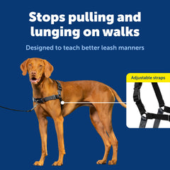 PetSafe Easy Walk harness breathable fabric keeps dogs cool.