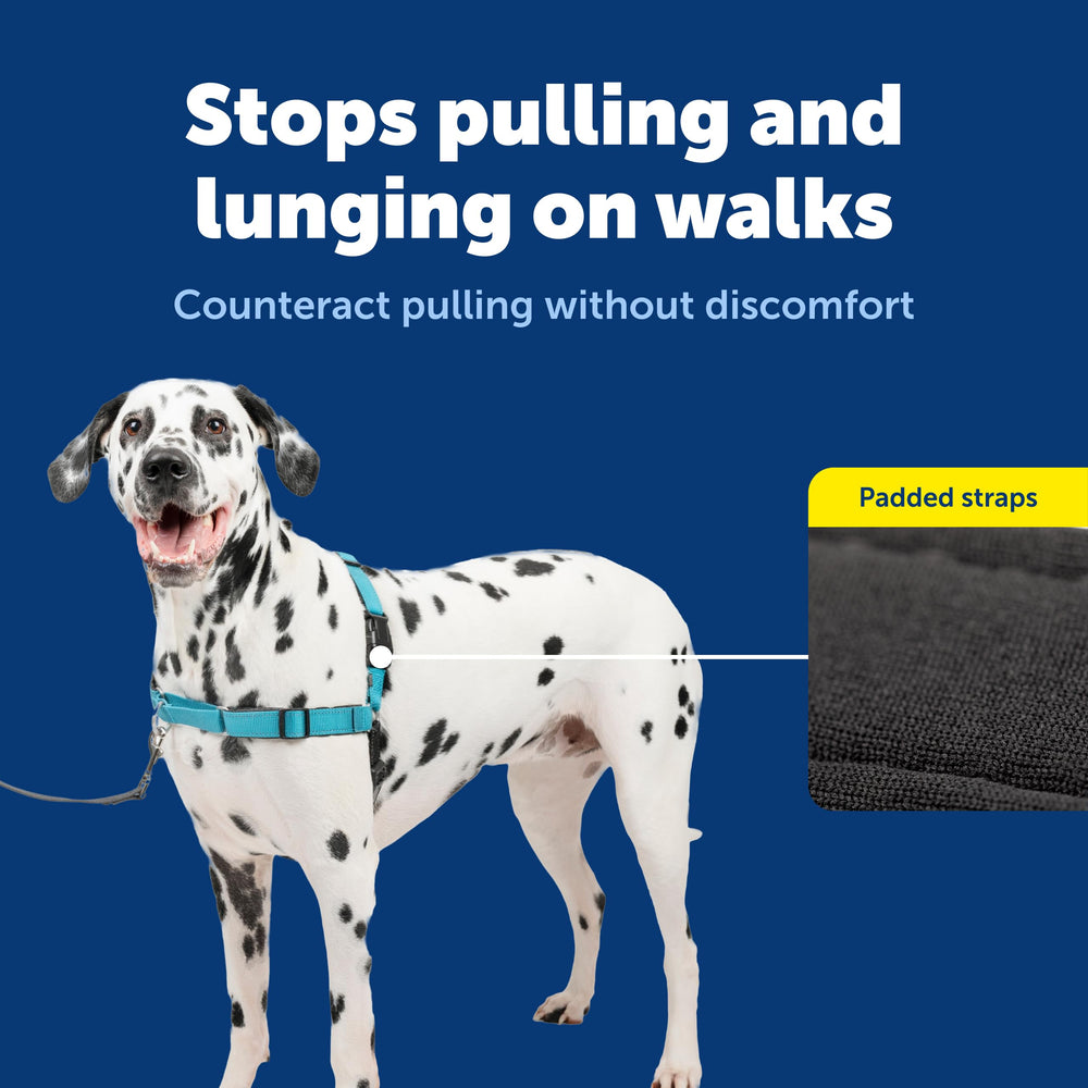 PetSafe Easy Walk Harness breathable straps support comfortable all-day wear.