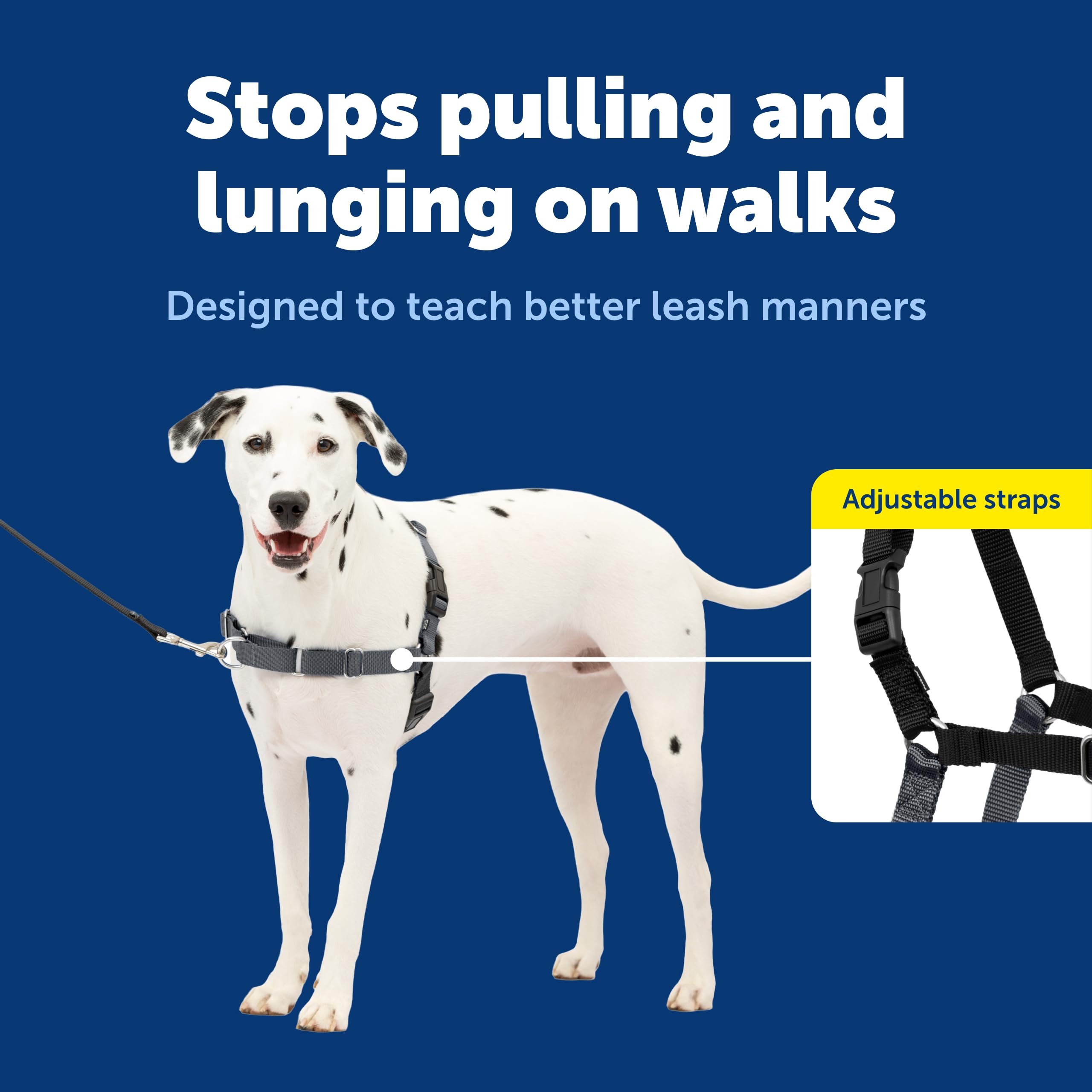 Petsafe Easy Walk harness chest attachment image demonstrates natural guiding during training sessions.