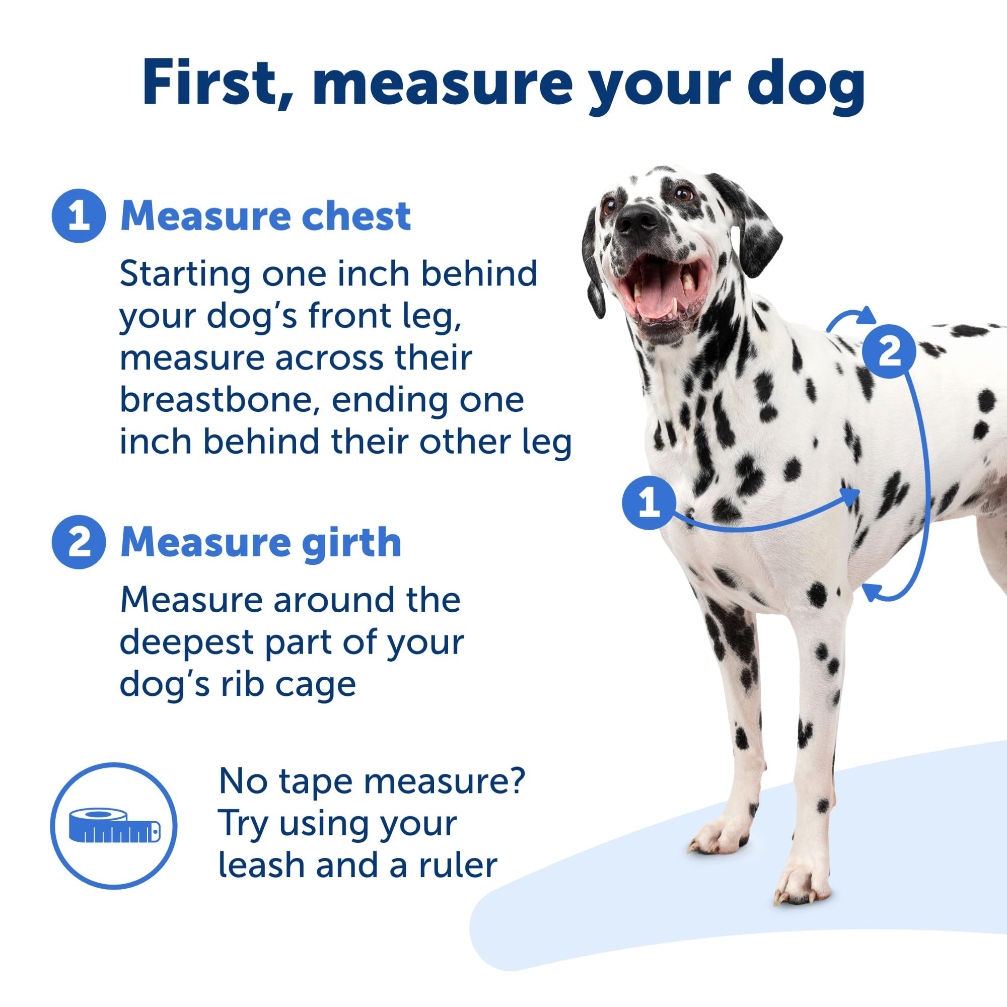 PetSafe Easy Walk harness color coded belly strap helps quick donning