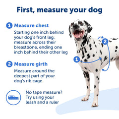 PetSafe Easy Walk harness color coded belly strap helps quick donning