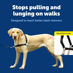PetSafe Easy Walk uses a color-coded belly strap for quick donning.