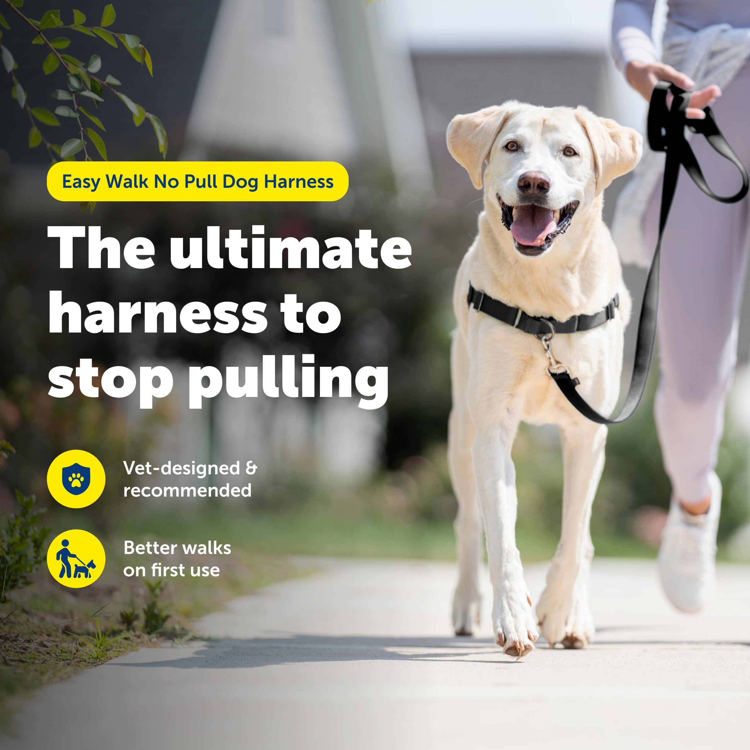 PetSafe Easy Walk Harness front-chest attachment highlights gentle redirection