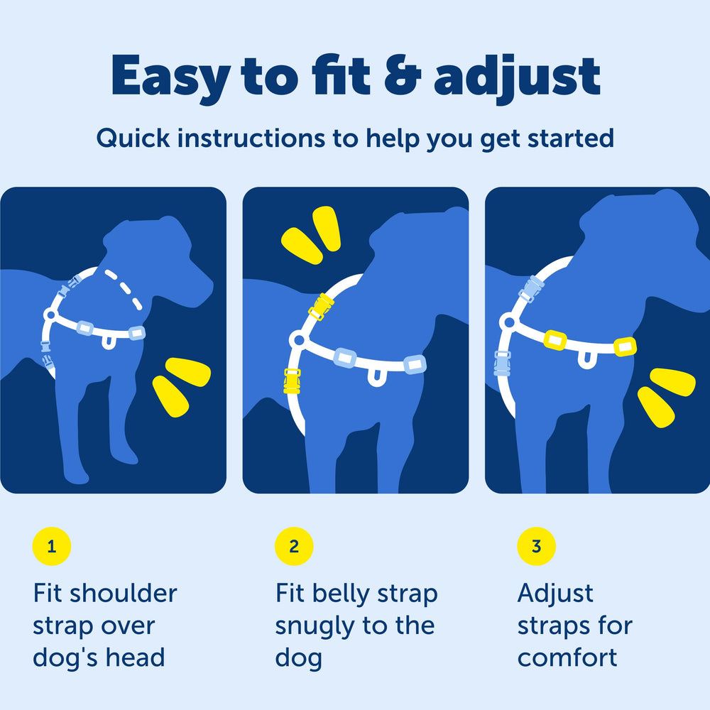 PetSafe front leash attachment guides your dog naturally during daily walks.
