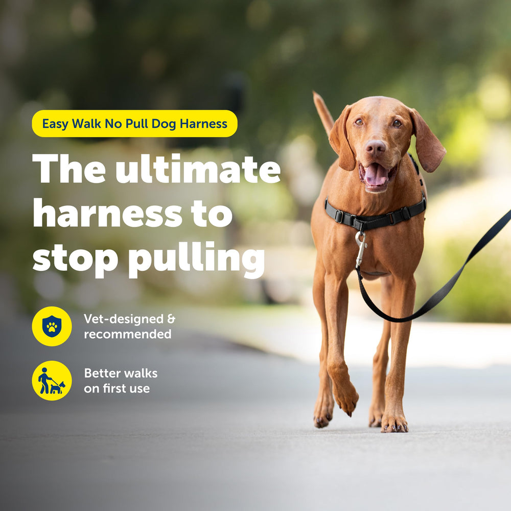 PetSafe Easy Walk martingale loop view for gentle redirection.