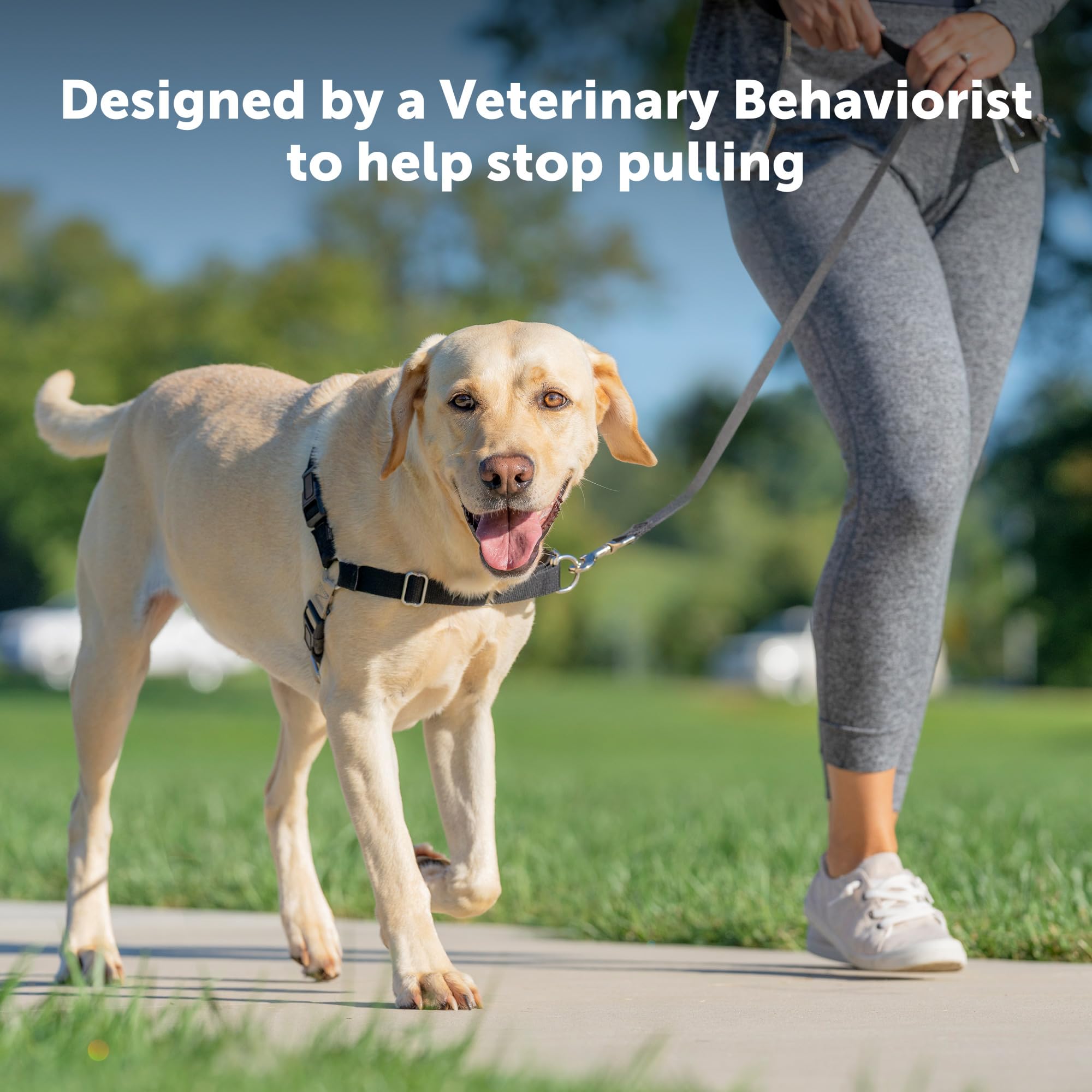 PetSafe Easy Walk Harness martingale loop delivers gradual pressure to discourage pulling.