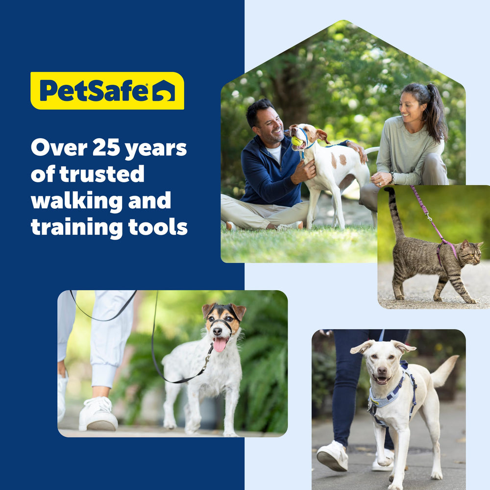 Petsafe Easy Walk harness worn on a dog during a walk demonstrates practical no-pull control.