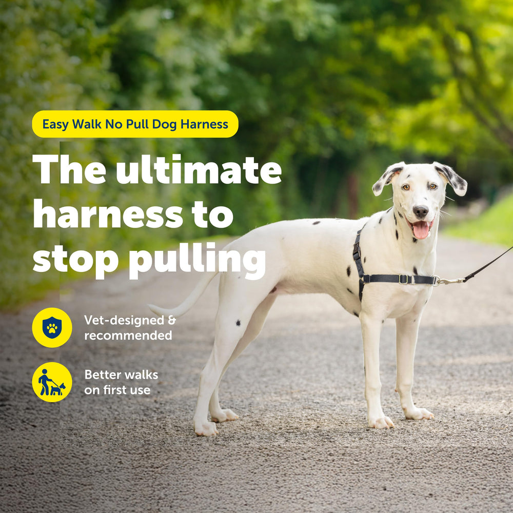 Petsafe Easy Walk harness side view highlights lightweight, secure fit for long daily walks.