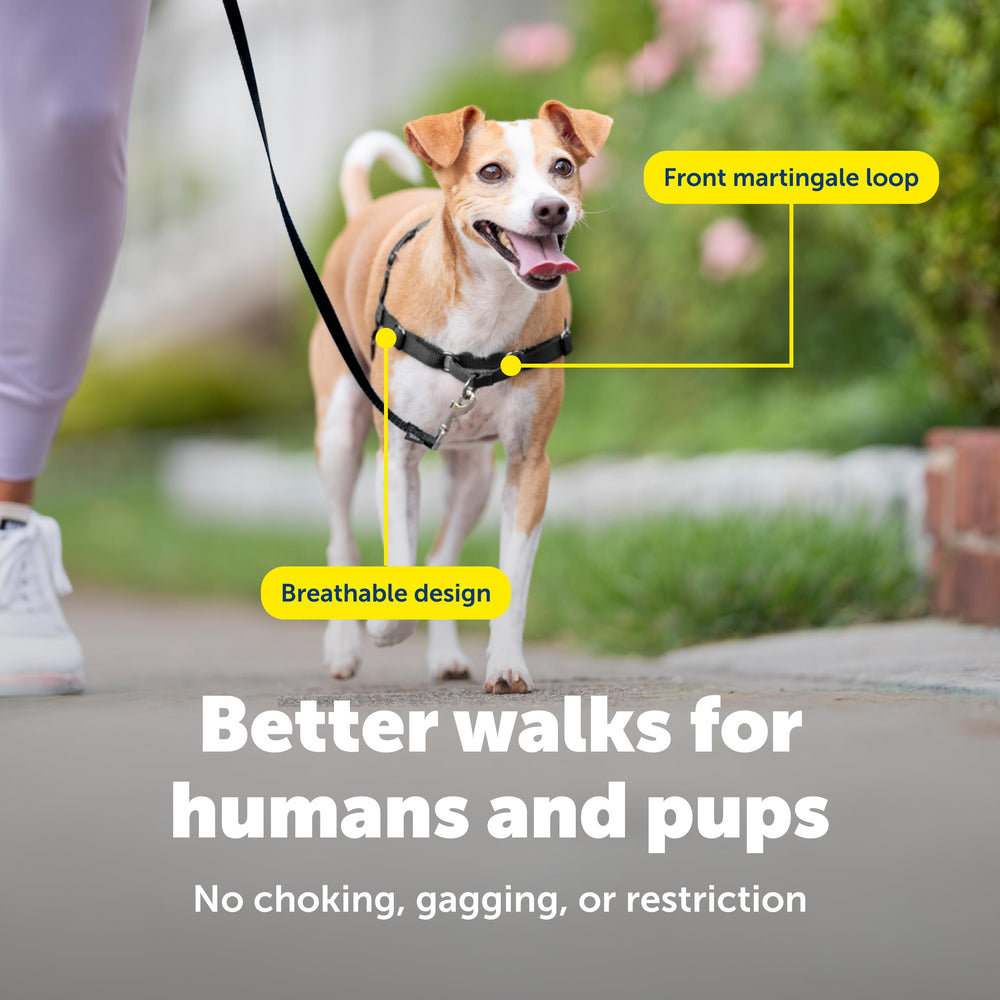 Hebillas rapidas de PetSafe Easy Walk para colocarlo facilmente