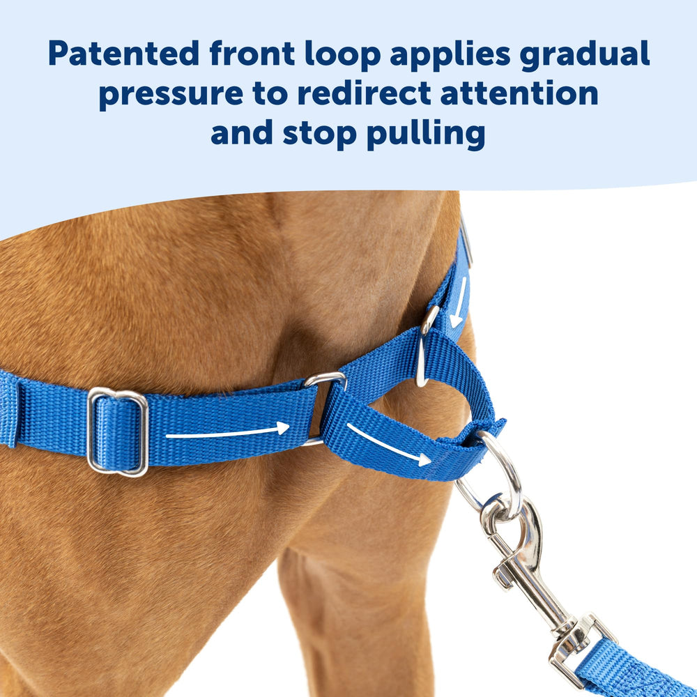 PetSafe Easy Walk correas de confort ajustables para un ajuste cómodo en cada paseo.