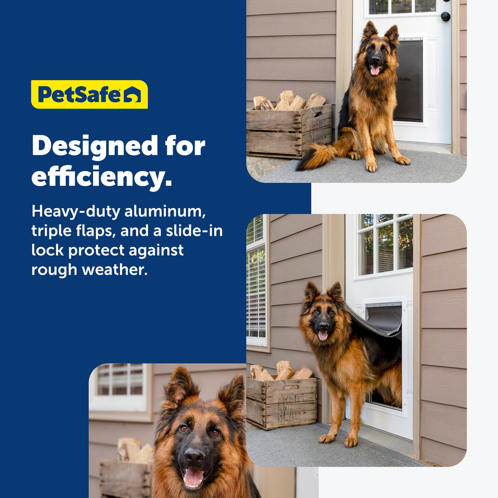 PetSafe exterior installation on metal door shows secure, tool-friendly setup.