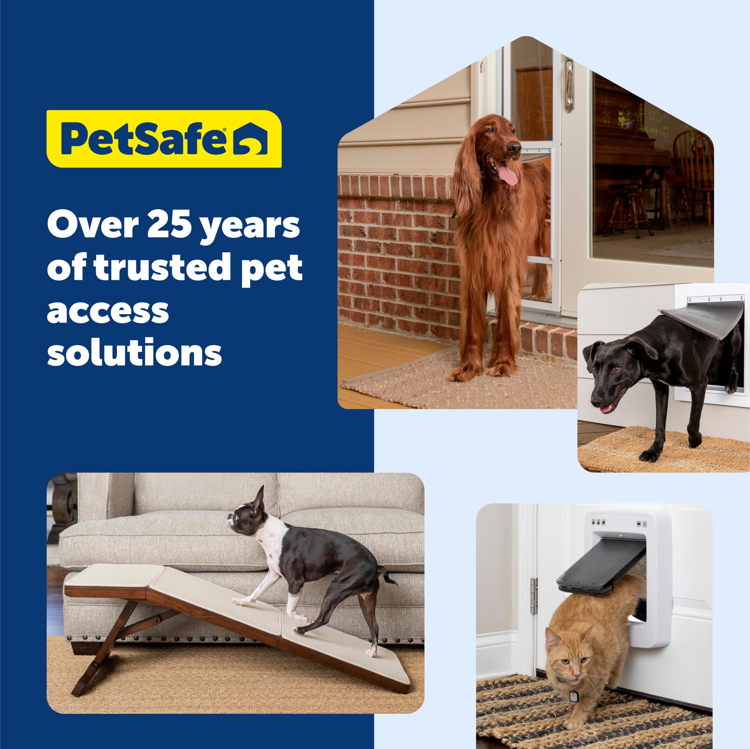 PetSafe Extreme Weather door shown in backyard for easy pet access.