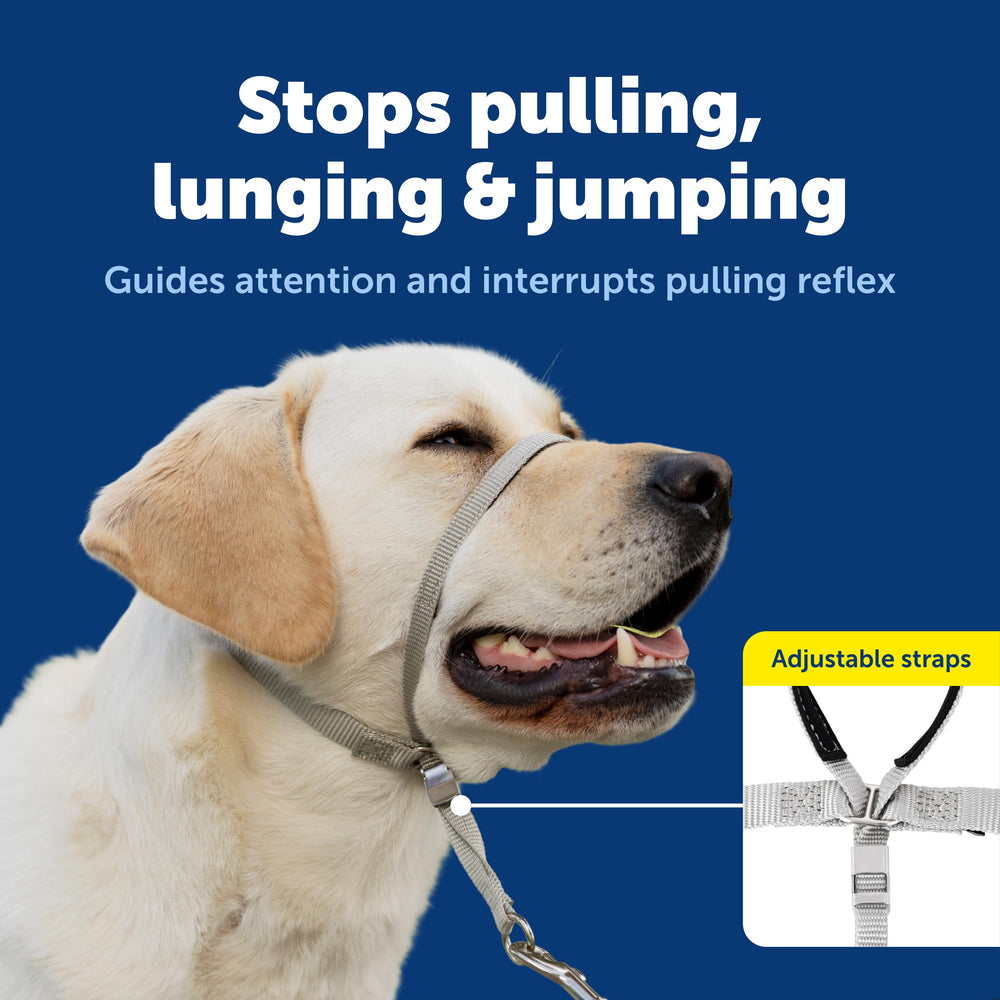 PetSafe Gentle Leader adjustable strap shows quick-snaps for easy fitting