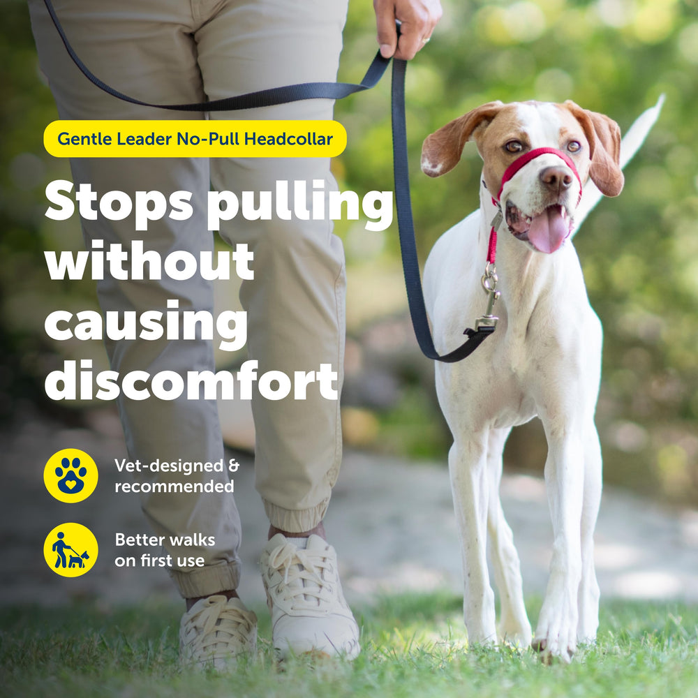 PetSafe Gentle Leader nariz forrada ofrece confort durante el uso diario