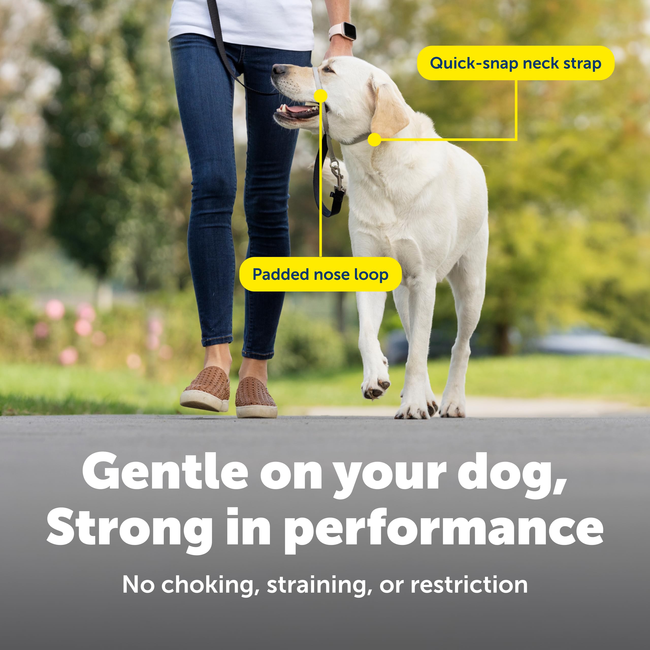 PetSafe Gentle Leader padded nose loop providing comfortable contact during walks.