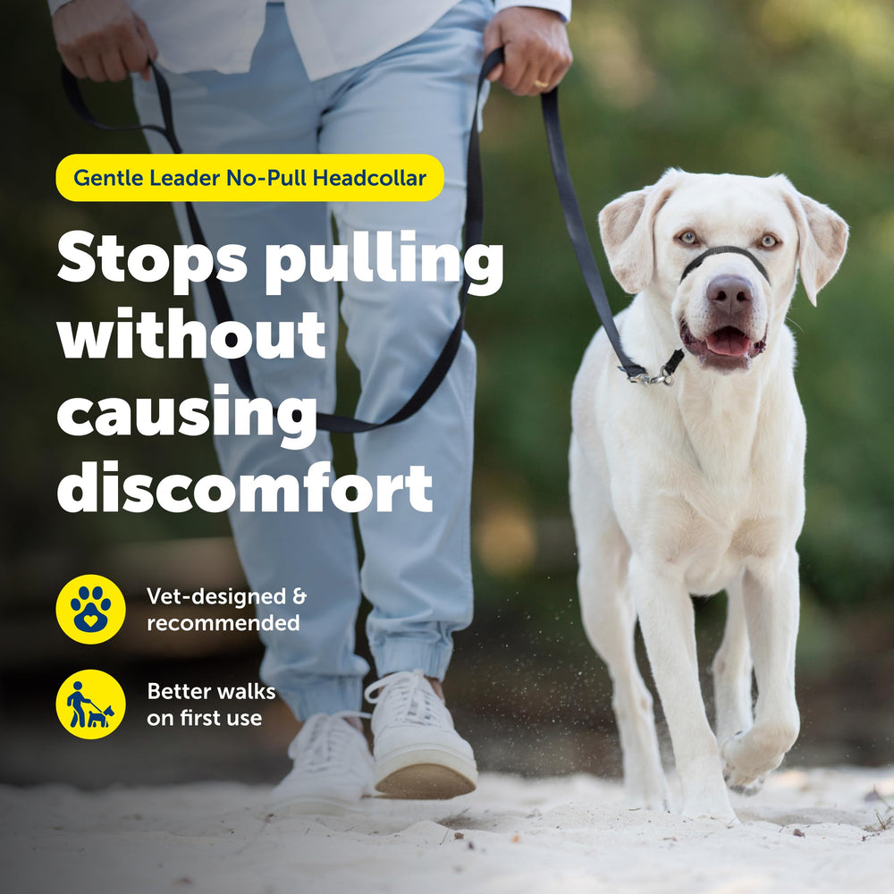 Petsafe Gentle Leader strap design breathable view supports cooler daily walks.