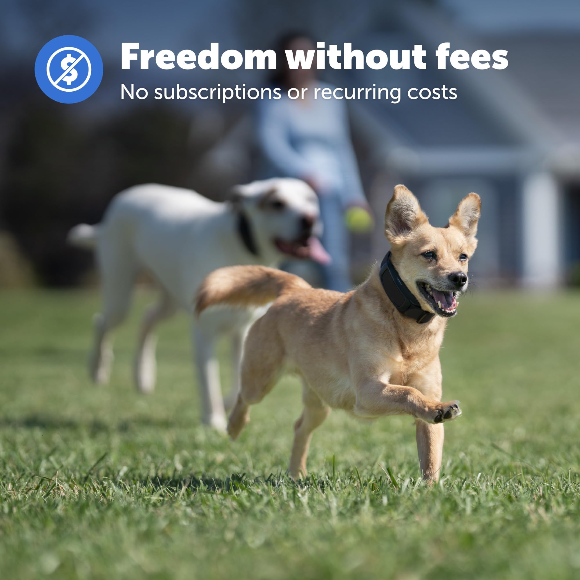 PetSafe Guardian collar with tone and vibration modes for confident outdoor training