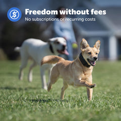 PetSafe Guardian collar with tone and vibration modes for confident outdoor training