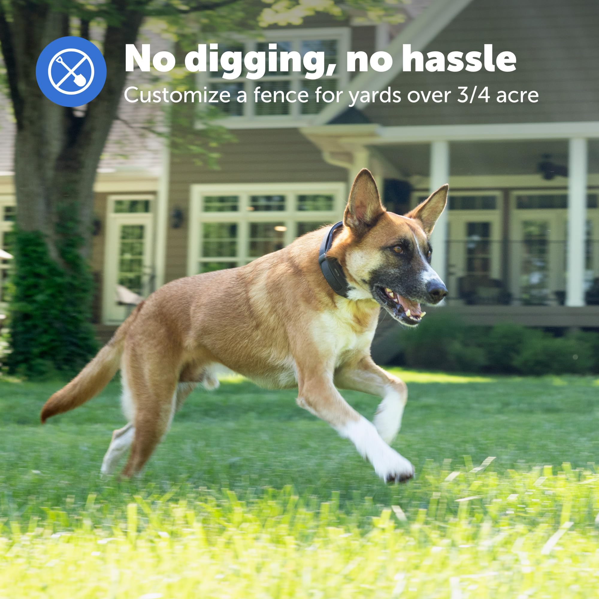PetSafe Guardian waterproof collar enduring rain and playful yard sessions