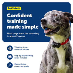 Petsafe receiver collar with battery status indicator for proactive training.