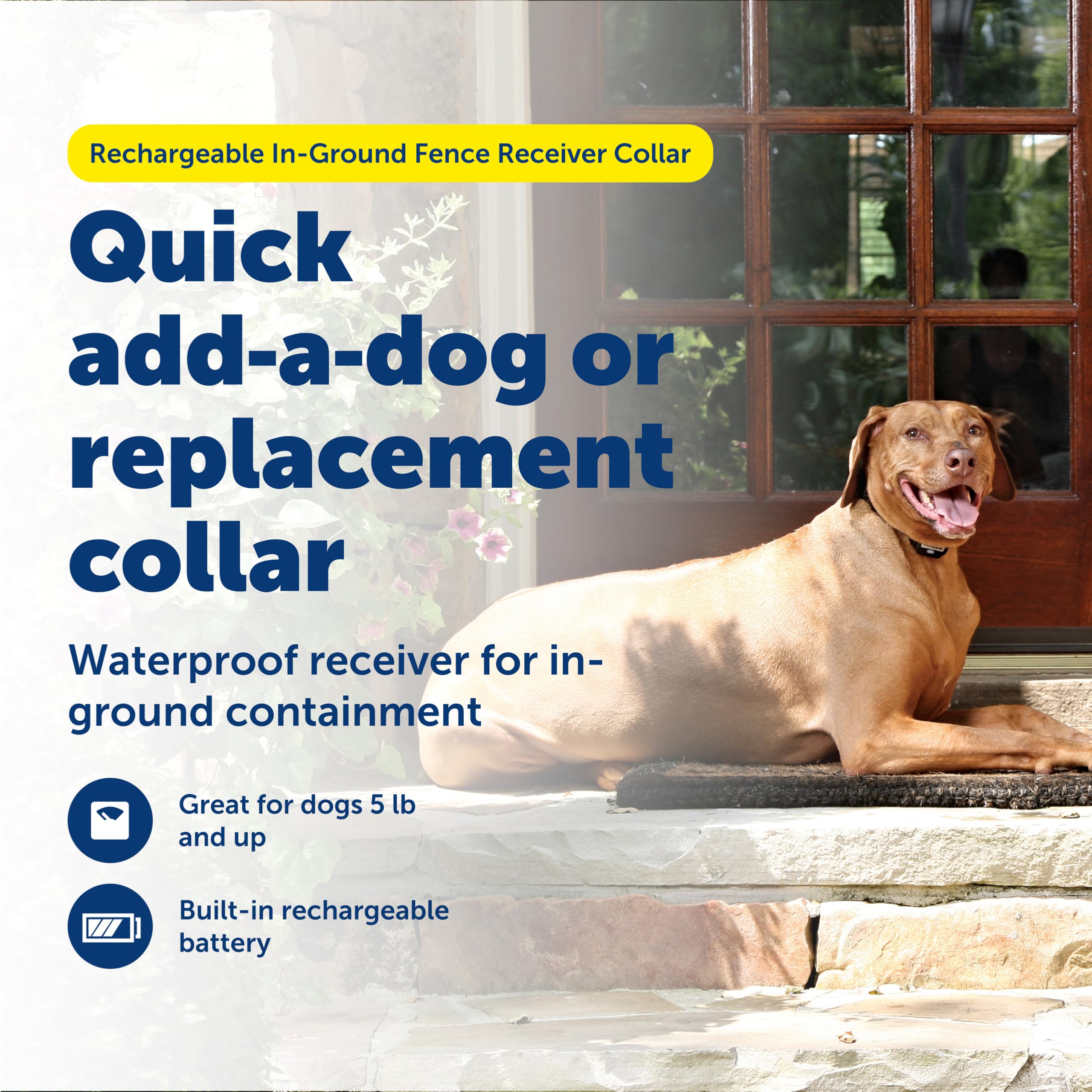 PetSafe rechargeable collar charging quickly for extended use.