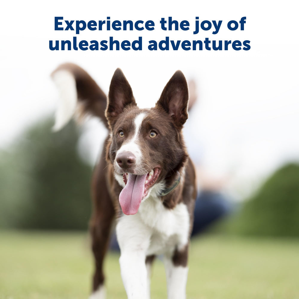 PetSafe remote trainer range illustration showing up to 300 yards for off-leash training.