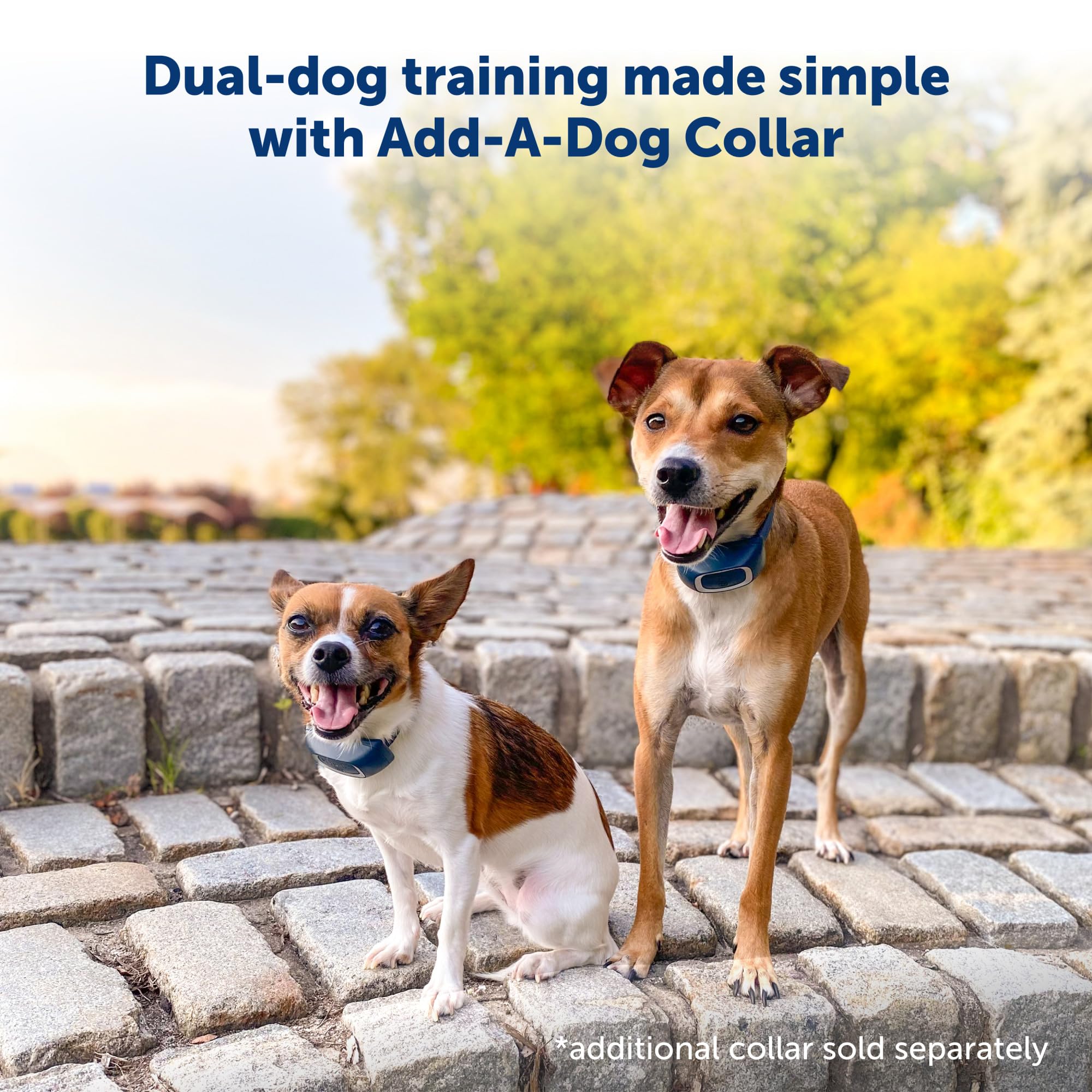PetSafe remote trainer with digital display, easy-to-read at any time of day.