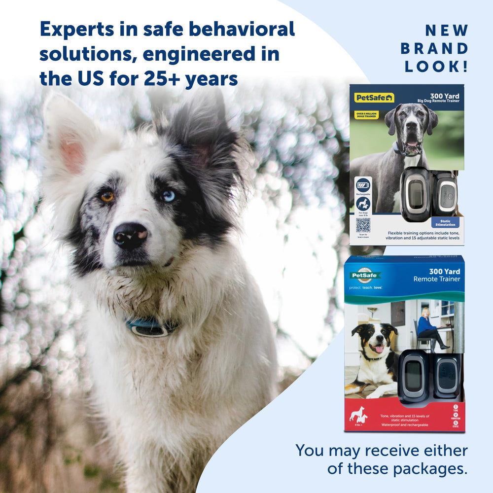 PetSafe remote trainer handheld remote, intuitive buttons for quick training adjustments.
