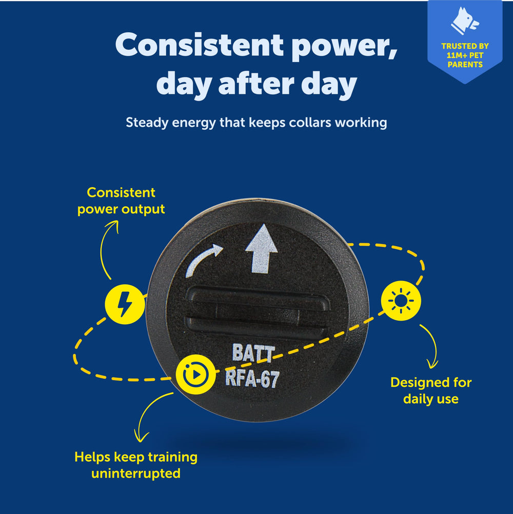 PetSafe RFA-67d-11 6V replacement battery powers bark collars reliably.
