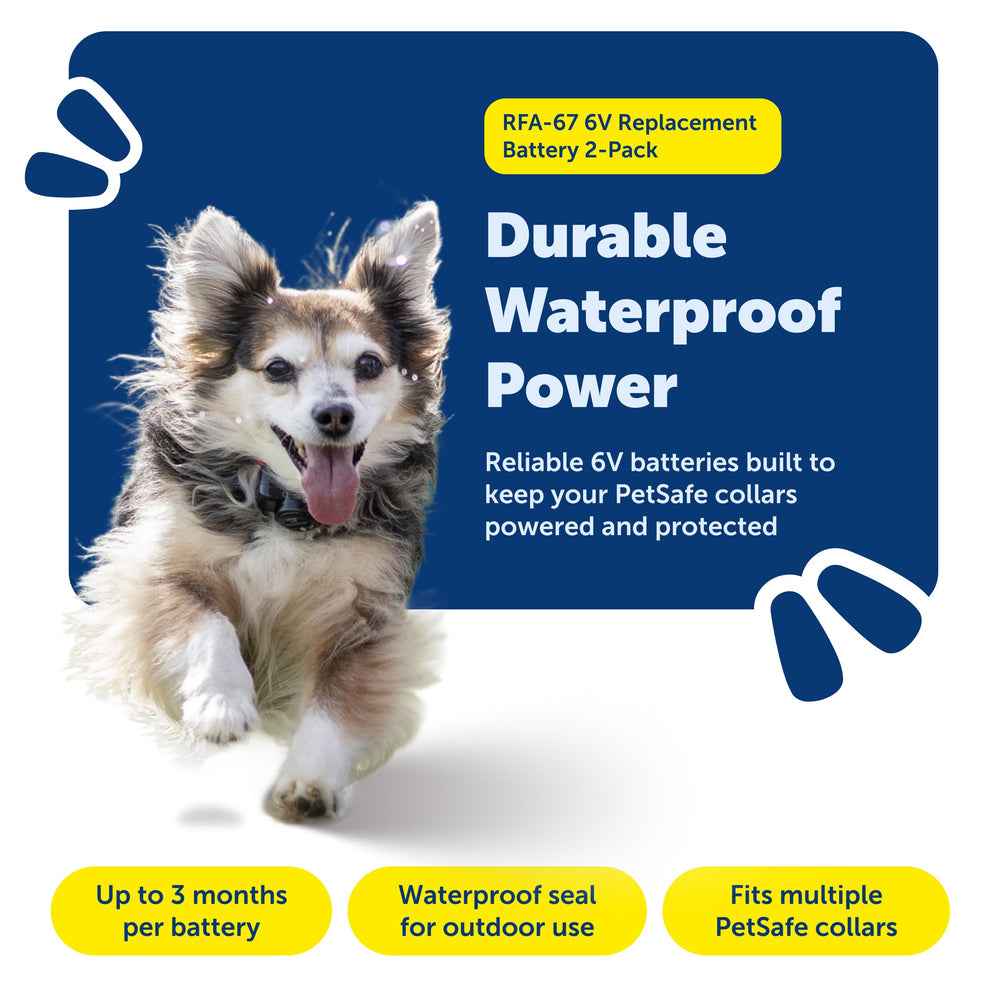PetSafe RFA-67d-11 waterproof battery stands up to rain and splashes.