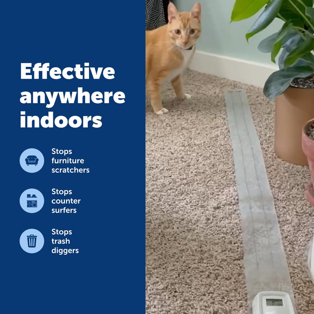 PetSafe ScatMat battery-powered for cordless placement.