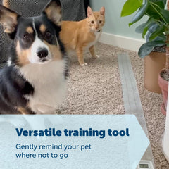 PetSafe ScatMat LCD display shows status and usage for training.