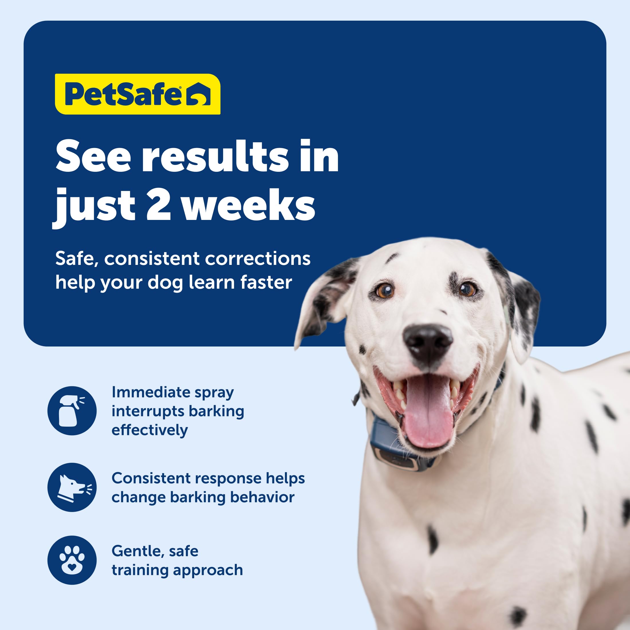 PetSafe spray bark collar unscented refill highlights gentle correction without scent for sensitive dogs.