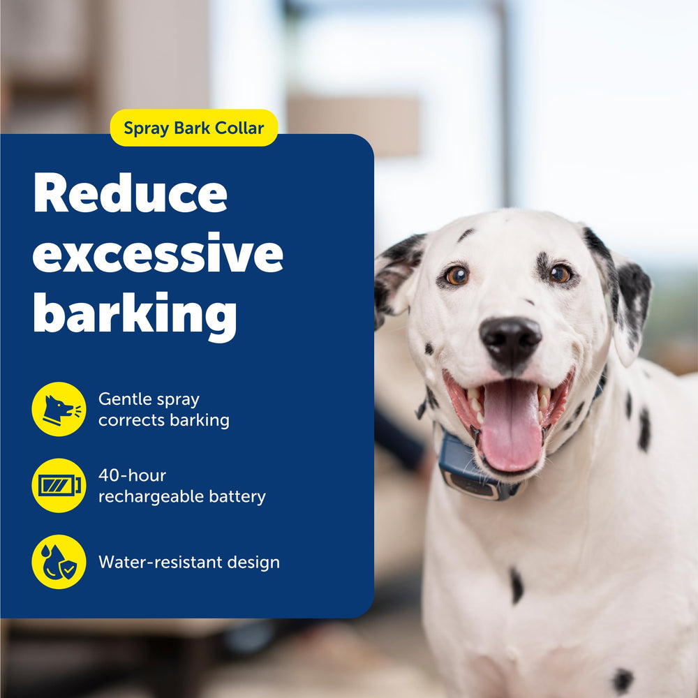 PetSafe spray bark collar USB charging demonstrates quick recharge for on-demand training sessions.