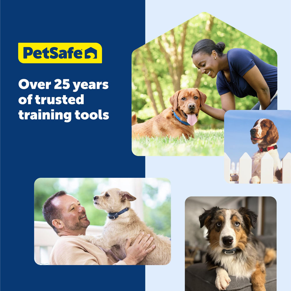 PetSafe spray bark collar water-resistant design ensures durability during outdoor adventures.