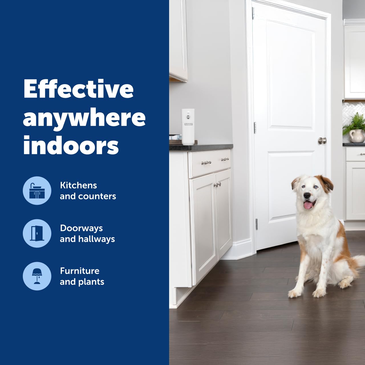 PetSafe SSSCAT cordless placement demonstrates versatile indoor boundaries around counters.