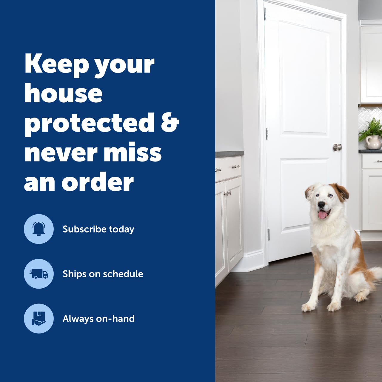 Petsafe SSSCAT off-limits placement deters unwanted behavior in busy homes.