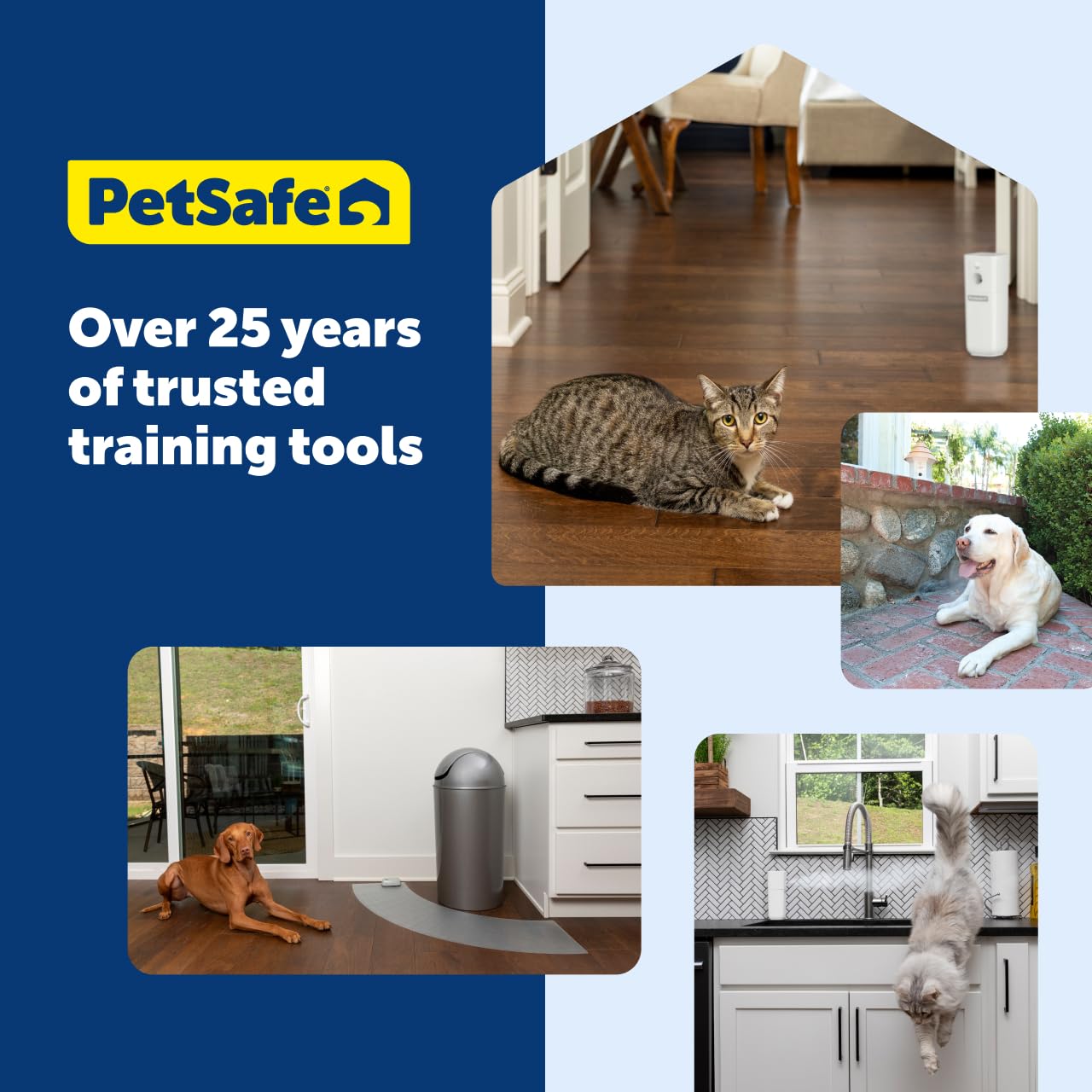 PetSafe SSSCAT quiet operation supports calm, humane deterrence.