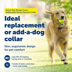 PetSafe Stay & Play boundary flags image highlights clear training markers for safe fencing.