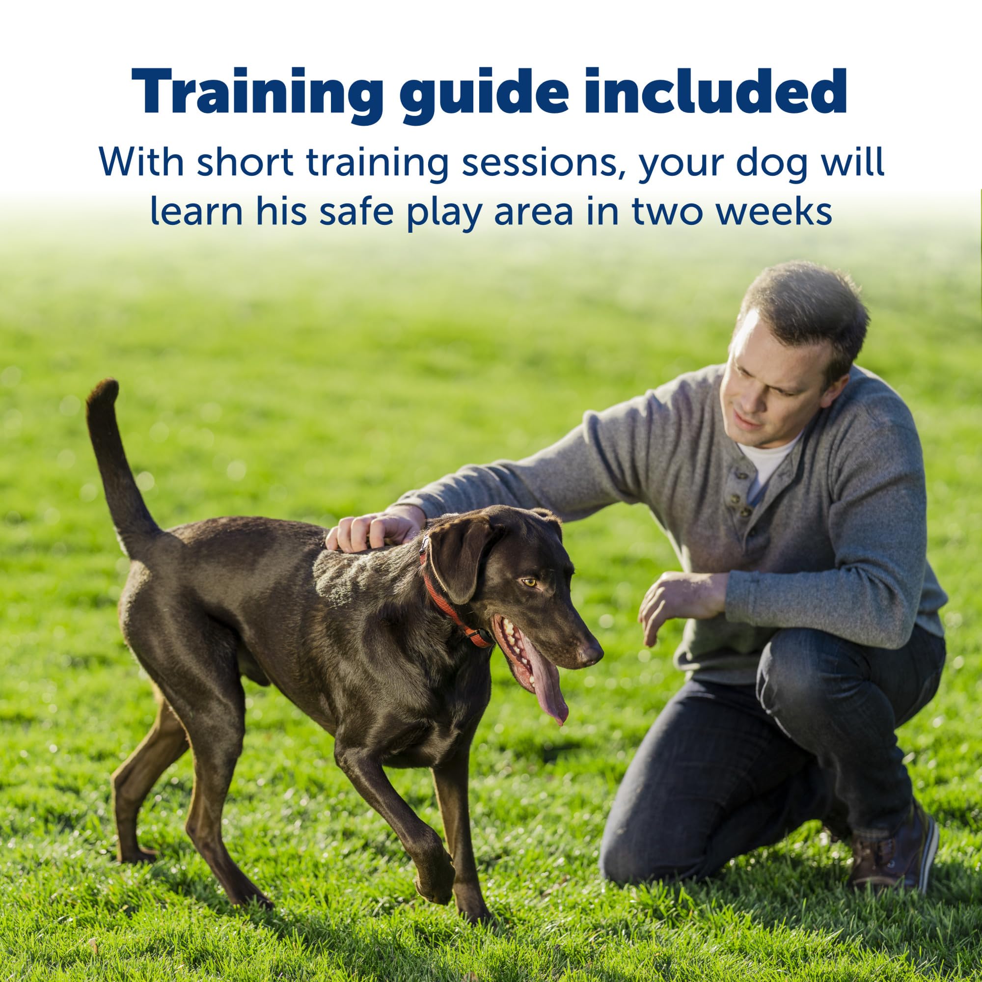 Petsafe Stay & Play multi-pet system image shows adding collars for several dogs.