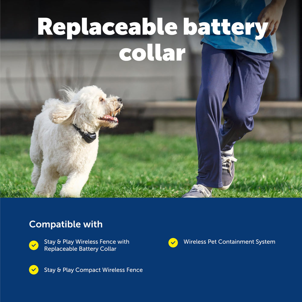 PetSafe Stay & Play multi-pet system image shows expansion capability with additional collars.