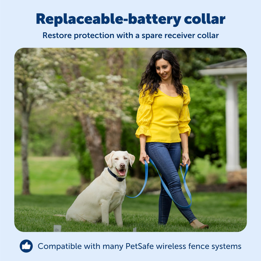 PetSafe Stay & Play receiver collar closeup shows waterproof design and adjustable fit.
