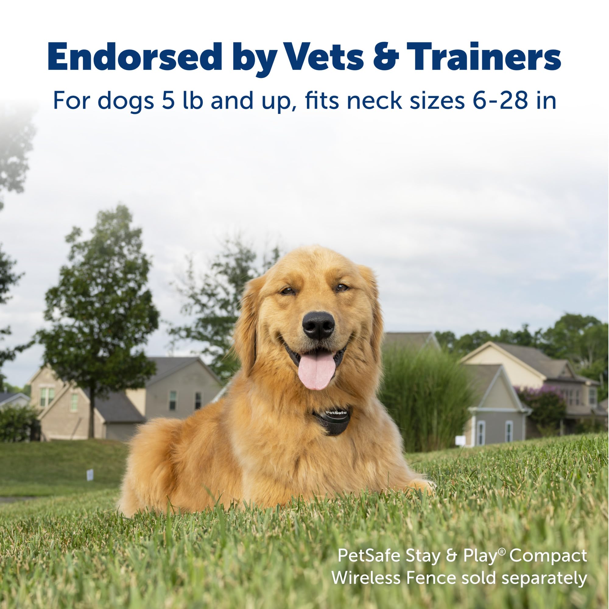 PetSafe Stay & Play receiver collar strap adjusts for necks 6–28 inches