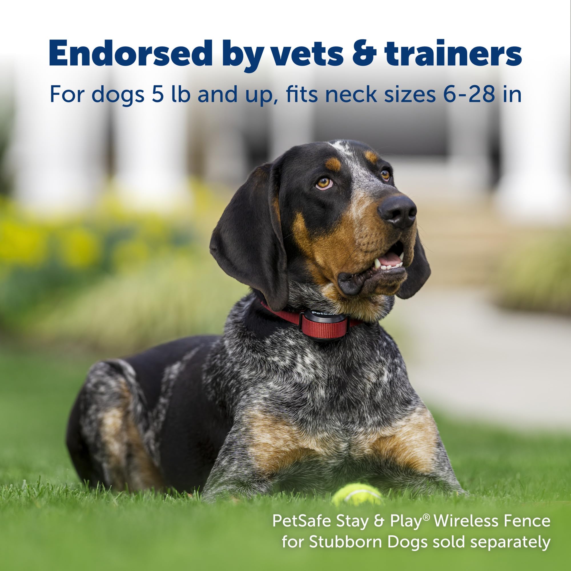Petsafe Stay & Play receiver collar waterproof supports daily outdoor use and reliable containment.