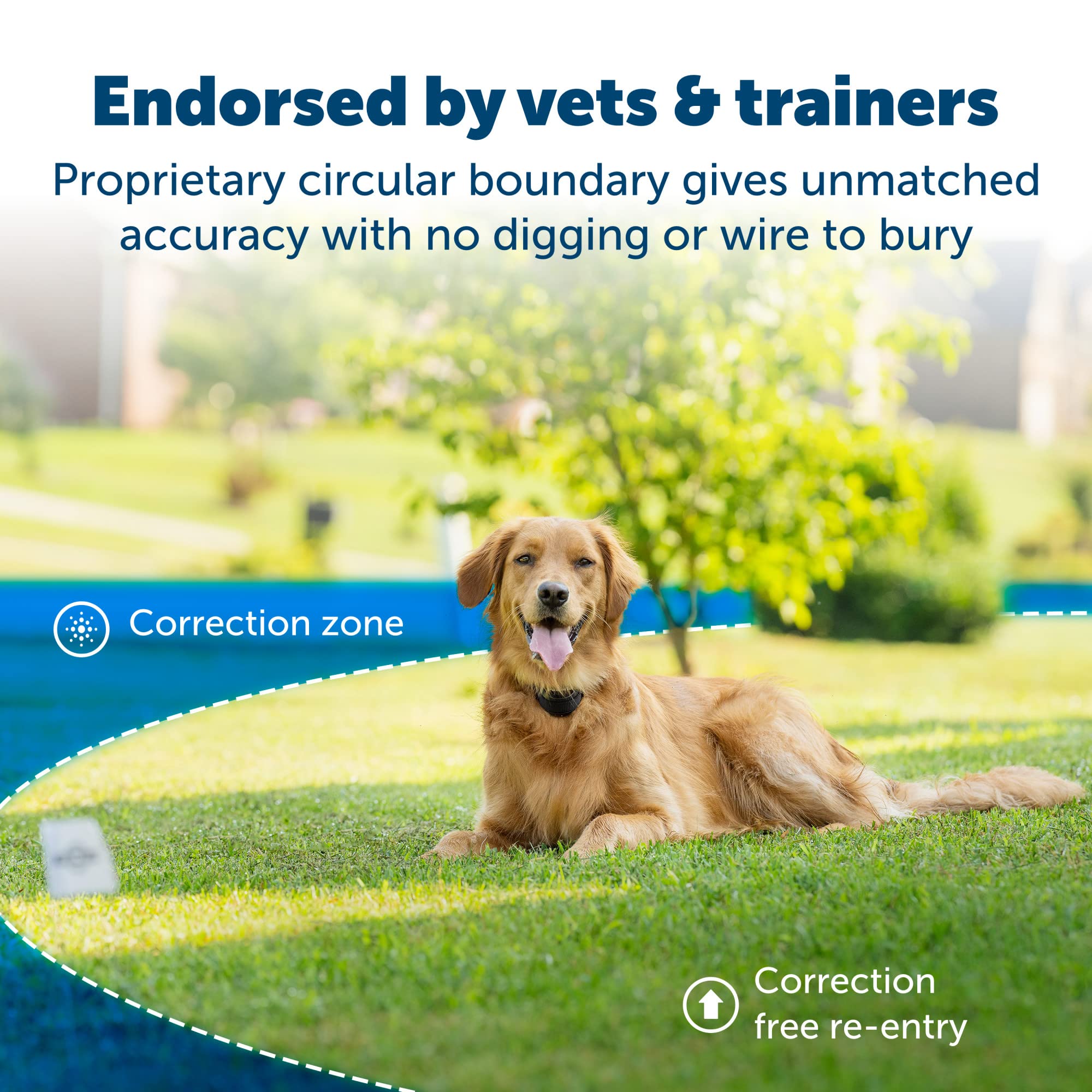 PetSafe Stay and Play boundary flags mark the training area for clear distance cues.