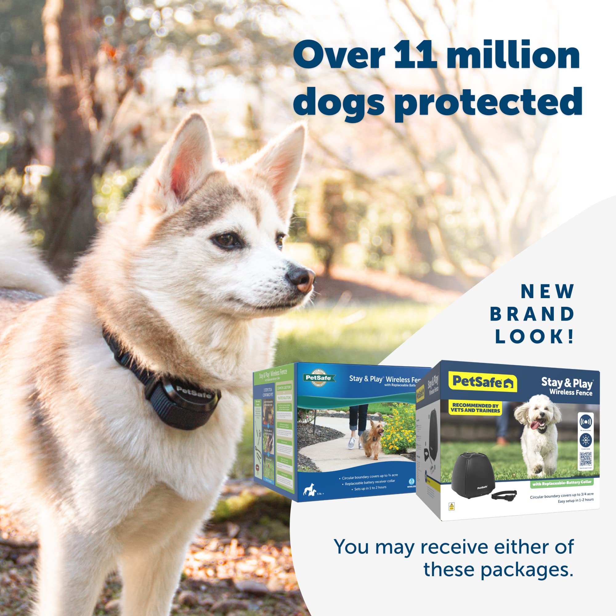 PetSafe Stay and Play multi-pet system supports adding extra collars for households with multiple pets.