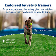 PetSafe Stay & Play receiver collar showing adjustable correction for dogs 5 lb+